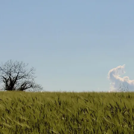 مزرعة للإقامة Agri Rio