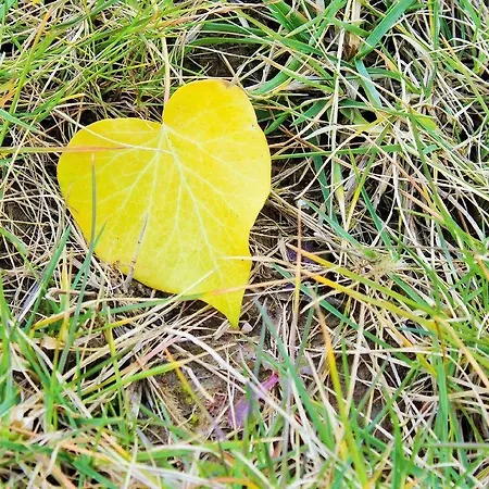 Agri Rio * Rio Salso Di Tavullia